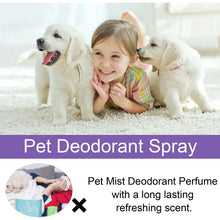 Lavender Dog Deodorizer Spray, product photo 14 of 18
