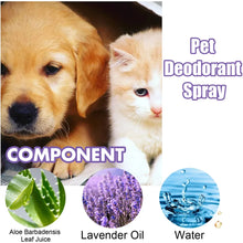 Lavender Dog Deodorizer Spray, product photo 15 of 18