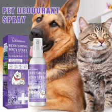 Alternate view of the Lavender Dog Deodorizer Spray