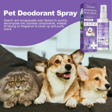 Lavender Dog Deodorizer Spray, product photo 3 of 18