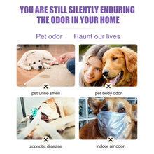 Lavender Dog Deodorizer Spray, product photo 9 of 18