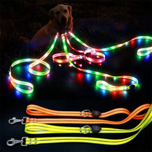 LED Light Up Dog Leash, product photo 10 of 14