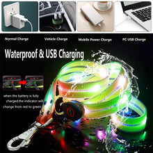 LED Light Up Dog Leash, product photo 11 of 14
