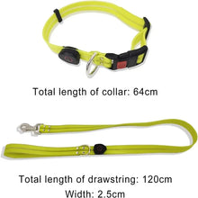 LED Light Up Dog Leash, product photo 12 of 14