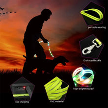 LED Light Up Dog Leash, product photo 14 of 14