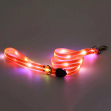 Alternate view of the LED Light Up Dog Leash