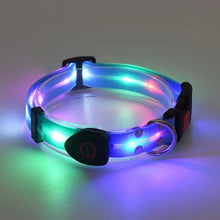 LED Light Up Dog Leash, product photo 7 of 14