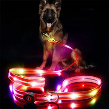 LED Light Up Dog Leash, product photo 8 of 14