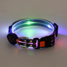 LED Light Up Dog Leash, product photo 9 of 14