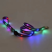 LED Light Up Dog Leash in Black Lead