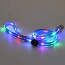 LED Light Up Dog Leash in Blue Lead