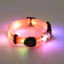 LED Light Up Dog Leash in Orange Collar