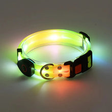 LED Light Up Dog Leash in Yellow Collar