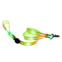 LED Light Up Dog Leash in Yellow Lead