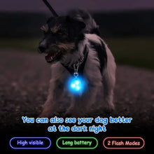 LED Pet Pendant Collar, product photo 5 of 9