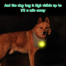 LED Pet Pendant Collar, product photo 8 of 9