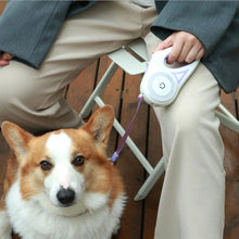 LED Retractable Dog Leash, product photo 20 of 27
