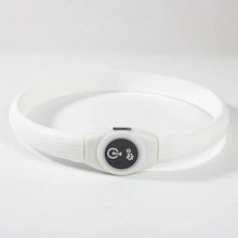 Alternate view of the LED Waterproof Dog Collar