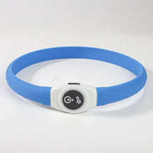 LED Waterproof Dog Collar in Blue Collar