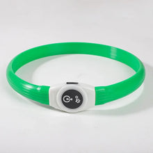 LED Waterproof Dog Collar in Green Collar