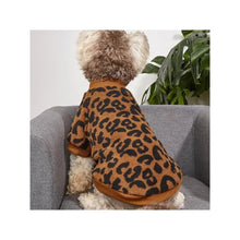 Leopard Print Winter Sweater for Dogs, product photo 10 of 11