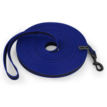Long Dog Leash for Training in Blue