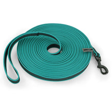 Long Dog Leash for Training in Green