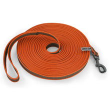 Long Dog Leash for Training in Orange