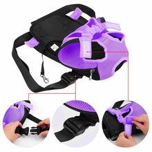 Mesh Pet Carrier Backpack, product photo 9 of 13