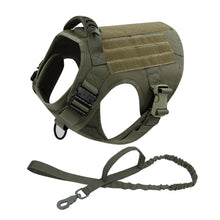 Military Dog Harness Type Leash in 2-Piece Set Green