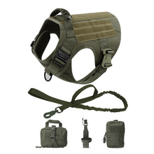 Military Dog Harness Type Leash in 5-Piece Set Green
