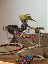 Multicoloured Parrot Rope Toy with Bell, product photo 3 of 7