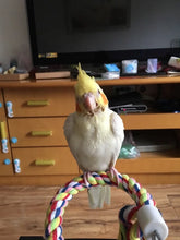 Multicoloured Parrot Rope Toy with Bell, product photo 4 of 7