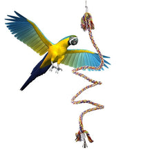 Multicoloured Parrot Rope Toy with Bell, product photo 5 of 7