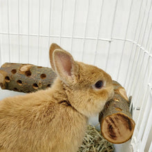 Alternate view of the Natural Apple Wood Chew Stick
