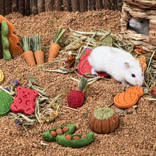 Alternate view of the Natural Hamster Chew Treat