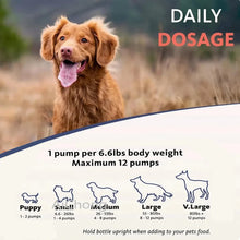 Natural Salmon Oil for Dogs 500ml, product photo 4 of 5