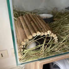 Alternate view of the Natural Willow Branch Pet Chew Sticks