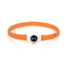 Orange LED rechargeable dog collar