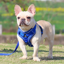 No Pull Adjustable Dog Leash & Harness, product photo 10 of 11
