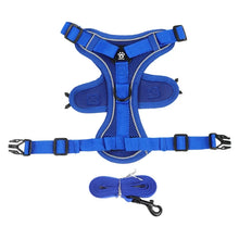 No Pull Adjustable Dog Leash & Harness in Blue