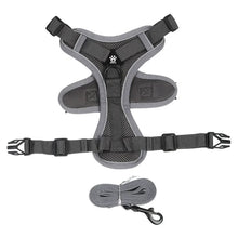 No Pull Adjustable Dog Leash & Harness in Grey
