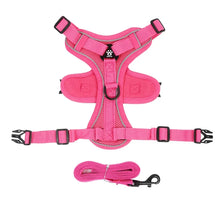 No Pull Adjustable Dog Leash & Harness in Rose