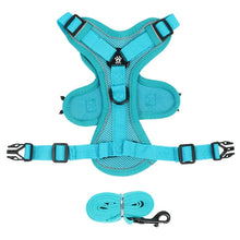 No Pull Adjustable Dog Leash & Harness in Sky Blue