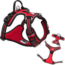 Alternate view of the No Pull Front Nylon Dog Harness