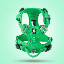 No Pull Front Nylon Dog Harness in Green Dog Harness