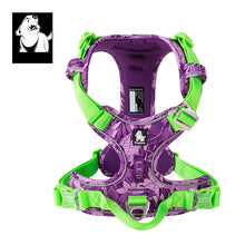 No Pull Front Nylon Dog Harness in Purple Green Harness