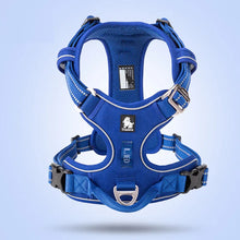 No Pull Front Nylon Dog Harness in Royal Blue Harness