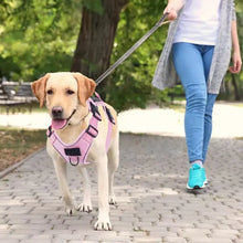 No Pull Harness for Pets, product photo 8 of 9