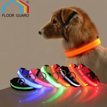 Nylon GlowStride Adjustable Dog Collar, product photo 5 of 8